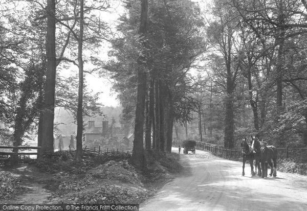 Photo of Compton, Lane And Coney Croft Farm 1912