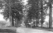 The Avenue 1907, Compton
