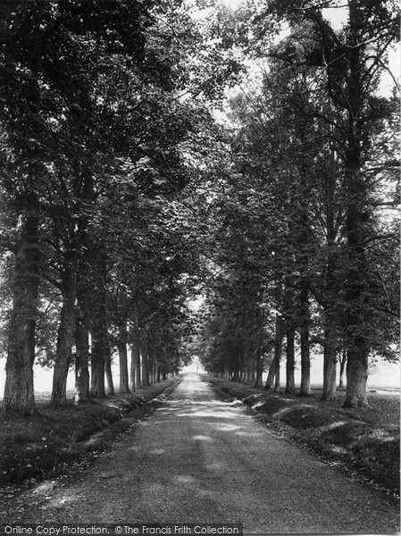 Photo of Compton, The Avenue 1935