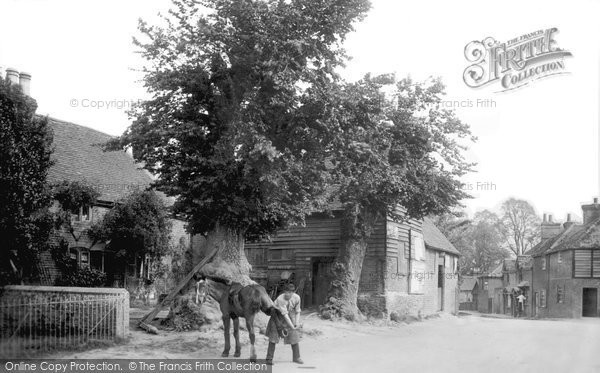 Photo of Compton, The Smithy And Harrow Inn 1912