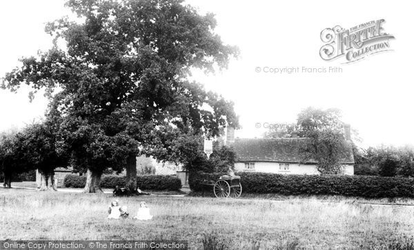 Photo of Compton, The Withies 1904
