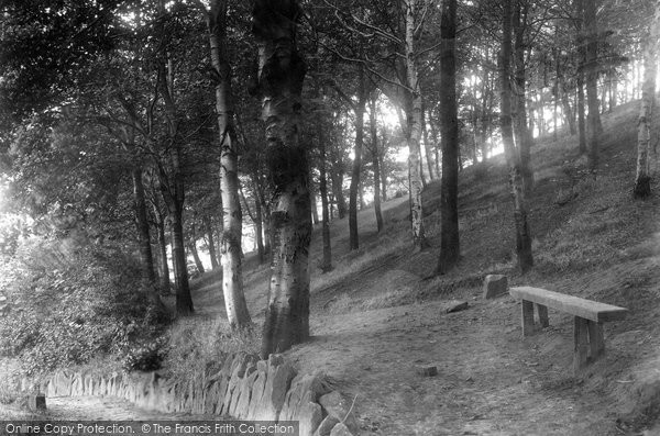 Photo of Congleton, Park Woods 1902