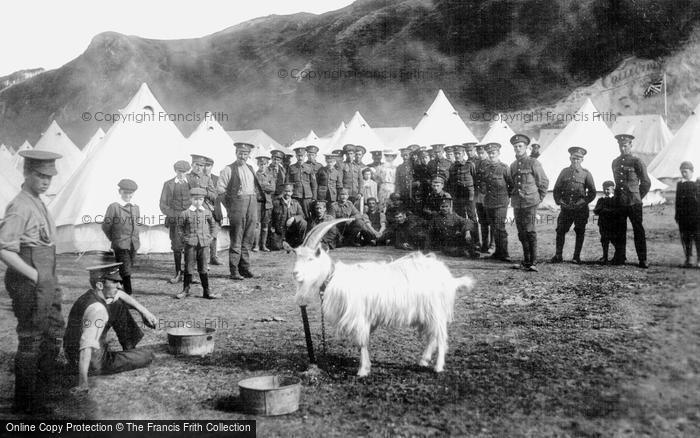 Photo of Conwy, Military Goat 1908