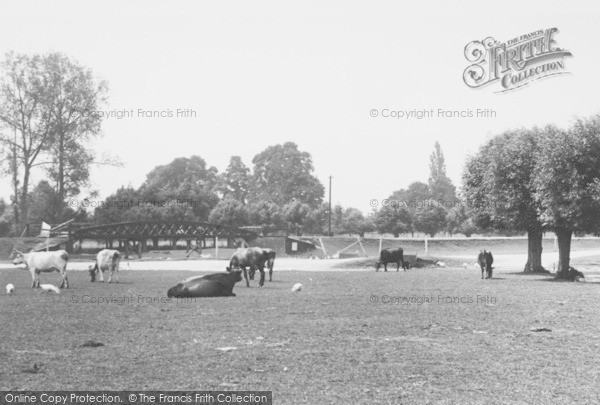 Photo of Cookham, Moor 1890