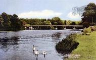 The Bridge c.1955, Cookham