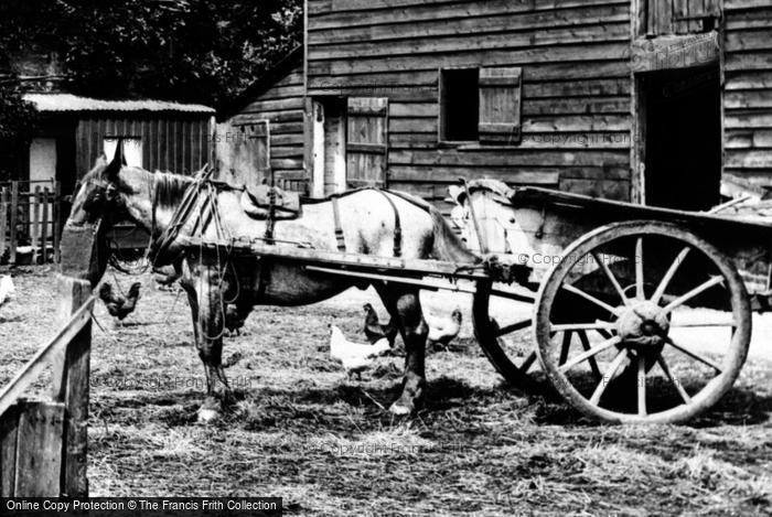 Photo of Cookham, The Cart Horse, Ovey's Farm 1914