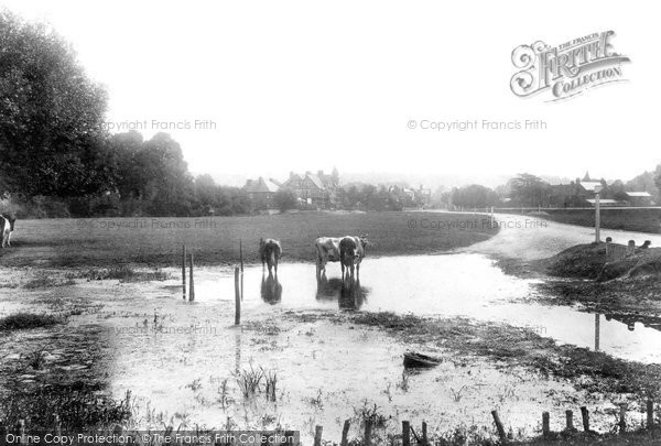 Photo of Cookham, The Moor 1901