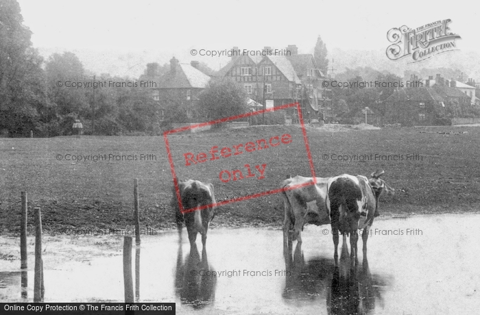 Photo of Cookham, The Moor 1901