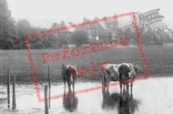 The Moor 1901, Cookham