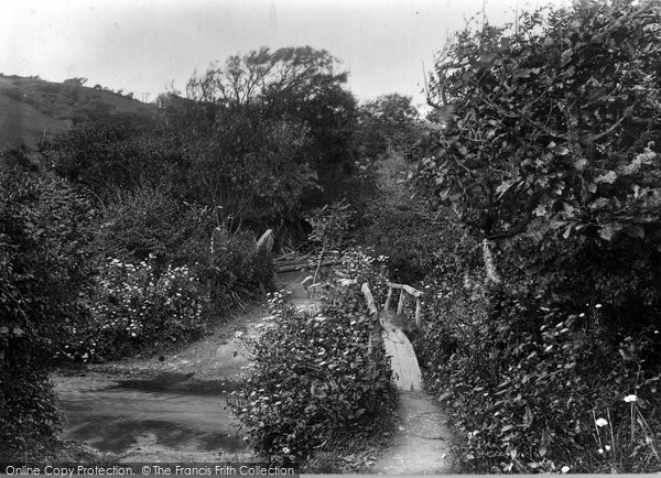 Photo of Coombe, The Footbridge 1929