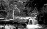 Corbridge, Devils Water, Dilston Falls c1950