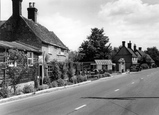 Old Mill Tea Rooms c.1955, Corfe Mullen