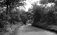 Corringham, One Tree Hill c1950