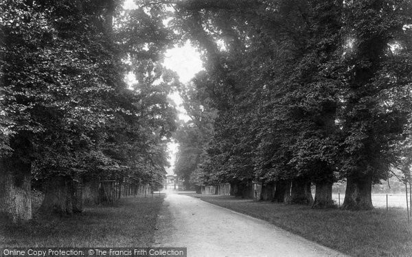 Photo of Corsham, Corsham Court Avenue 1906