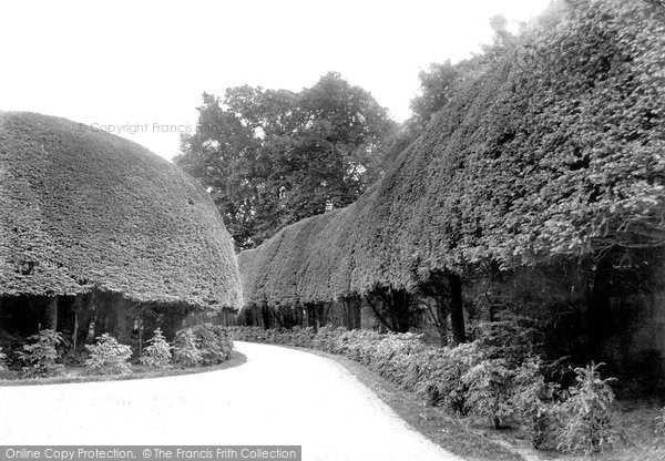 Photo of Corsham, Corsham Court Yew Hedge 1907
