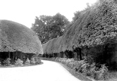 Corsham Court Yew Hedge 1907, Corsham