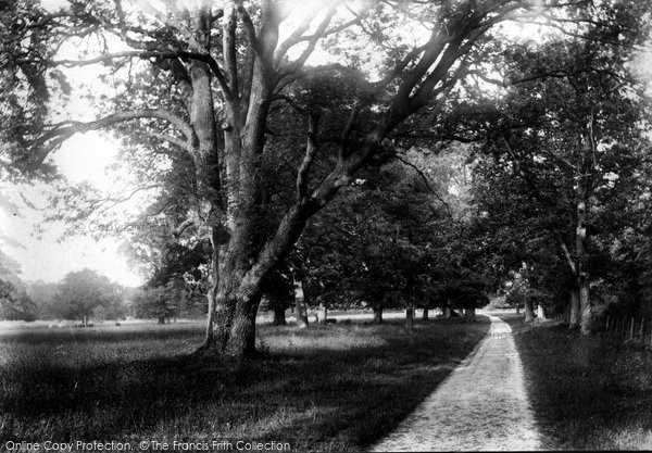 Photo of Corsham, The Park 1904