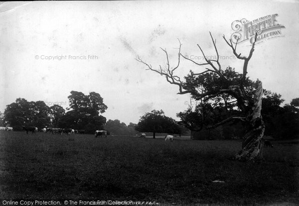 Photo of Corsham, The Park 1906
