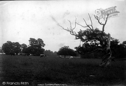 The Park 1906, Corsham