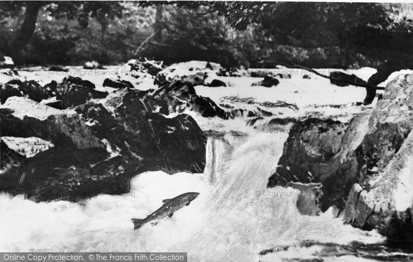 Photo of Corwen, Salmon Leap c.1965