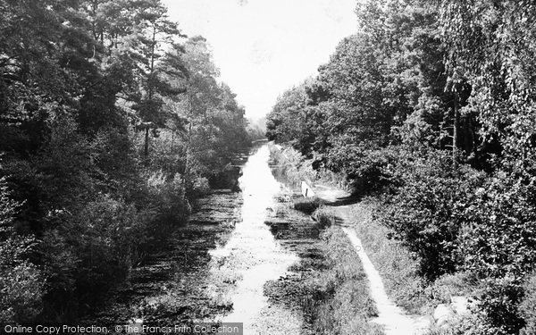 Photo of Cove, The Canal, Pyestock c.1955