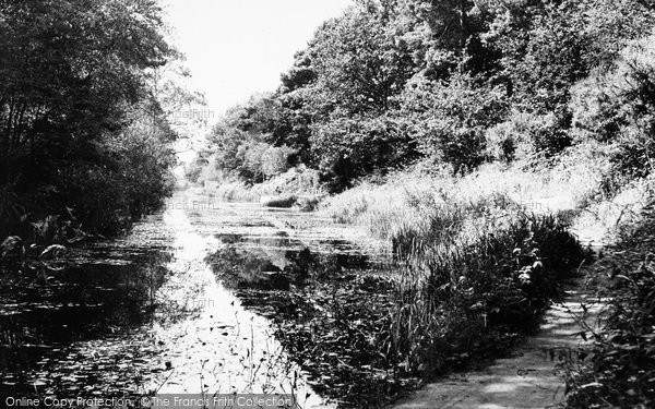 Photo of Cove, The Canal, Pyestock c.1955