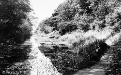 The Canal, Pyestock c.1955, Cove