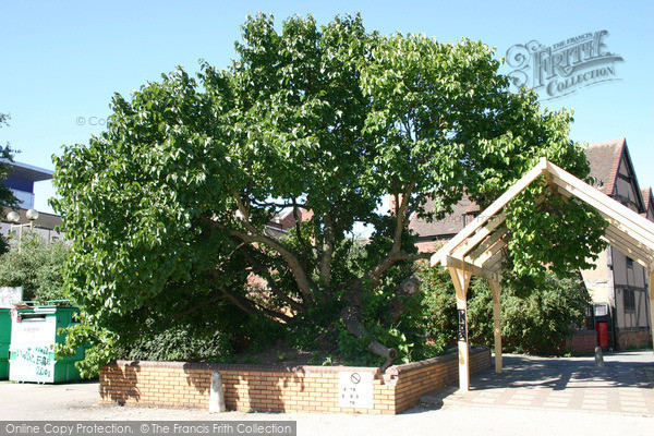 Photo of Coventry, The Mulberry Tree, Spon Street 2004