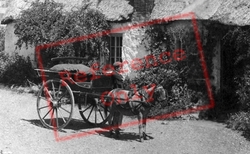 A Horse And Cart c.1900, Coverack