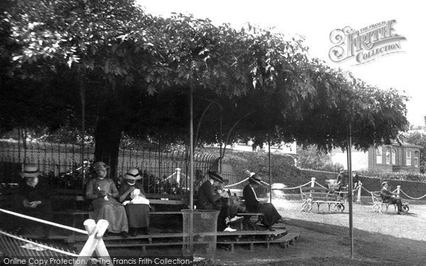 Photo of Cowes, The Umbrella Tree 1913