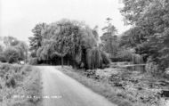 Old Mill Lane c.1955, Cowley
