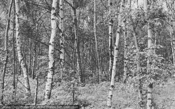 Photo of Cranage, Silver Birches c.1955