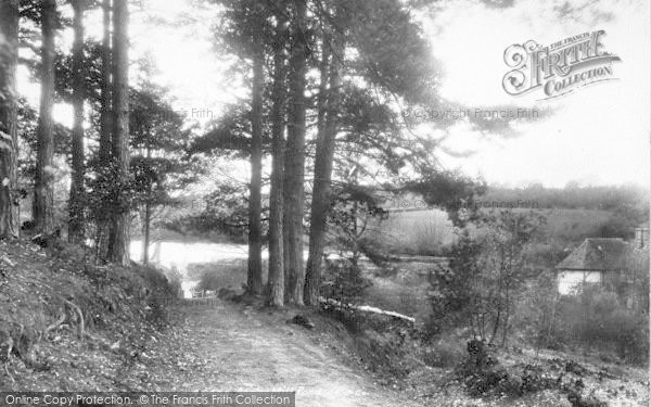 Photo of Cranbrook, Angley Mill Pond 1901