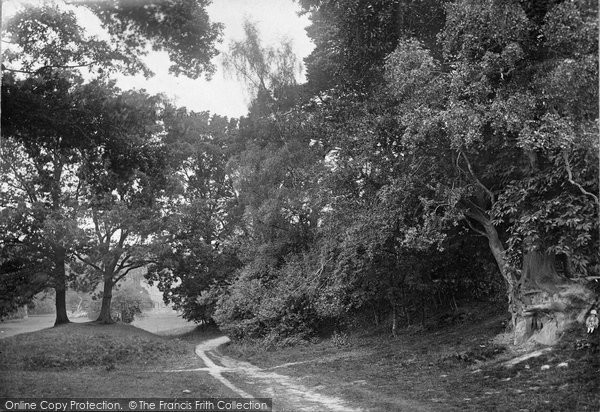 Photo of Cranbrook, Angley Park 1925