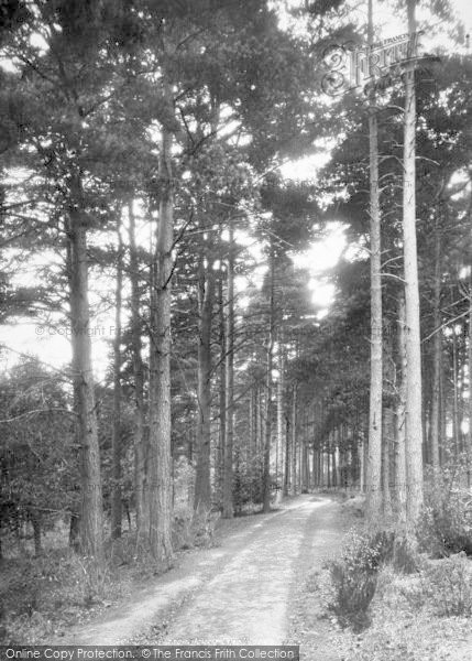 Photo of Cranbrook, Angley Woods 1901