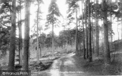 Angley Woods 1901, Cranbrook