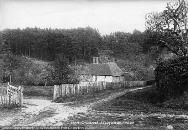 Photo of Cranbrook, Angley Woods 1902