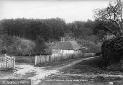 Angley Woods 1902, Cranbrook