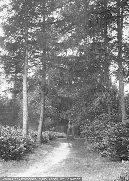 Photo of Cranbrook, Angley Woods 1925