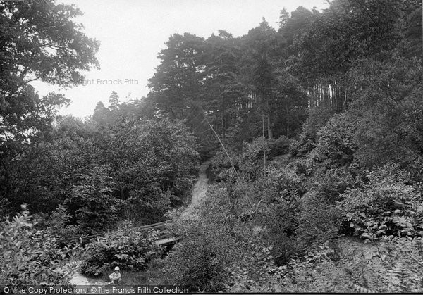 Photo of Cranbrook, Angley Woods Footbridge 1925