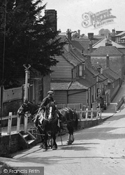 Cart Horses 1921, Cranbrook