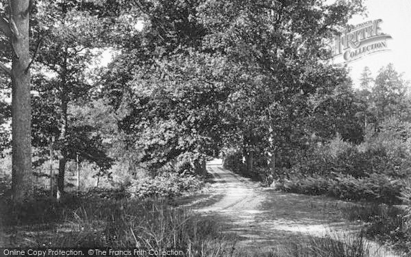 Photo of Cranbrook, Glassenbury Woods, Pin Pond Bay 1906