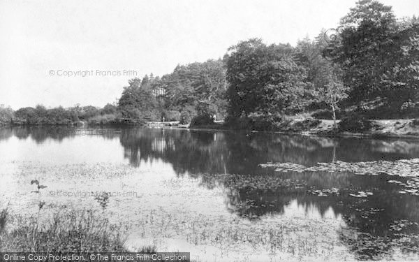 Photo of Cranbrook, The Mill Pond 1906