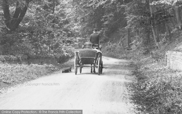 Photo of Cranham, Horse And Carriage 1907