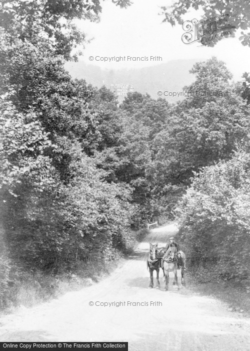 Photo of Cranleigh, Beechen Hill 1904