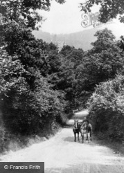 Beechen Hill 1904, Cranleigh
