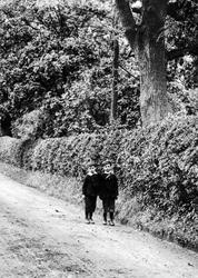 Boys In Knowle Lane 1906, Cranleigh