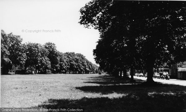 Photo of Cranleigh, Common, Swedish Maples c.1960