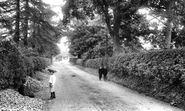 Knowle Lane 1906, Cranleigh