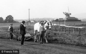 Cranleigh, Mowing on the Common 1904